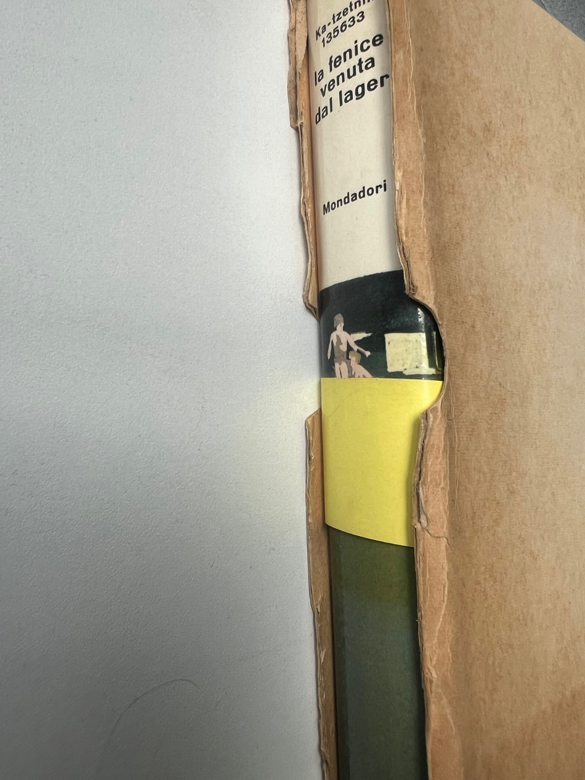 Image #2