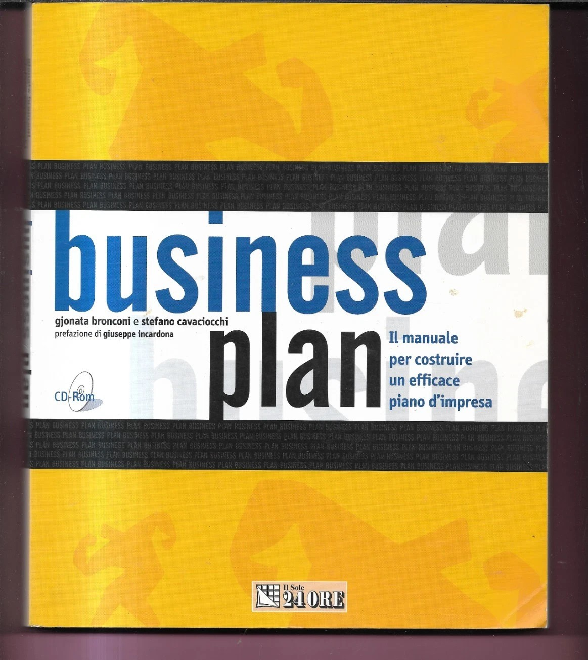 BUSINESS PLAN MANUALE G. BRONCONI S. CAVACIOCCHI IL SOLE 24 ORE 2001