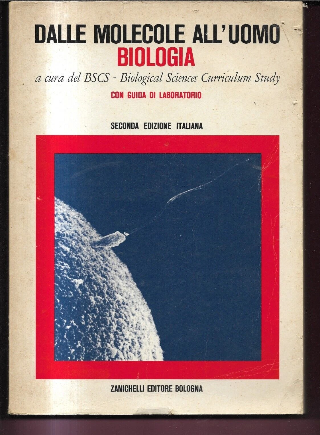 DALLE MOLECOLE ALL'UOMO BIOLOGIA A CURA DEL BSCS 1975 ZANICHELLI EDITORE