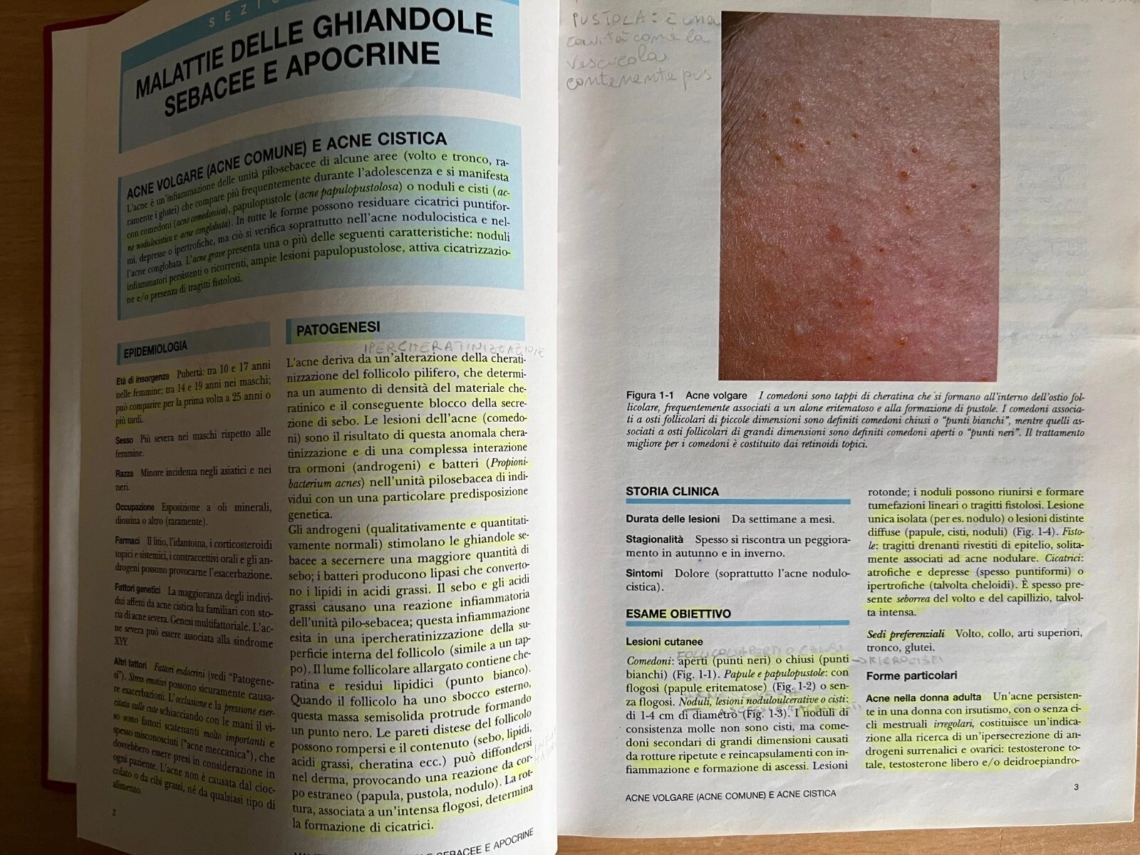 Atlante di Dermatologia Clinica Mc Graw Hill 2001 Fitzpatrick Johnson Wolff Suur